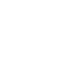 vector 1.png